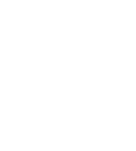 Wolt logo